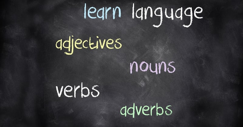 Découvrir le monde à 60 ans : pourquoi choisir un séjour linguistique solo pour senior